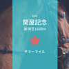 GⅢ関屋記念（2018年）は今年も逃げ・先行馬が好走するのか？ーー注目馬ベルキャニオンについても解説！