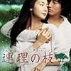 連理の枝〜韓国映画日記19