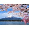 【集中力が磨かれる絶景体験】MISITU「桜と富士山」1000ピースジグソーパズルで、心に残る風景を飾ろう！