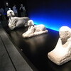 古代カルタゴとローマ展　ほか4つの美術館