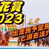 【菊花賞2023】出走馬予定馬データ分析と消去法予想