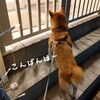 暗闇に浮かぶ顔