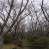 鹿島城址（鹿島城山公園）　茨城県鹿嶋市城山