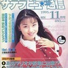 月刊サテラビュー通信 1995年11月号を持っている人に  大至急読んで欲しい記事