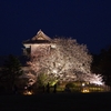 今年を振り返る「夜桜花見」