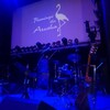 【Live】折重由美子 50th Anniversary CD「花心」リリースライブ＠大阪 ライブレポ