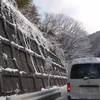 コブキャンプ参加 🎿