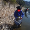 多摩川魚類定点調査　3月17日