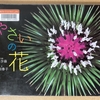 大人も楽しい写真絵本～『やさいの花』