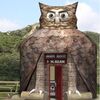 フクロウのアイスクリーム店