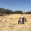 思いのままに歩けるはらっぱを求めて根岸公園。