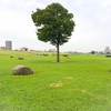 【参加者募集】アートと遊ぼう、こどもライブペインティング。青空の下、大きい紙いっぱいに思いっきり絵を描こう！