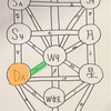 実体験に基づく情報