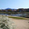 火曜日、晴れ