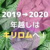 2019→2020、年越しはカンボジアのキリロムで！