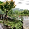 雨の日曜日☔️