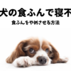 愛犬の食ふんに困り果てて寝不足　〜食ふんをやめさせる方法〜