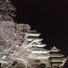 松本城・夜桜