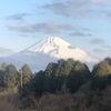 今朝の景色