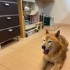 梅雨の季節の大掃除｜キッチンもすっきり