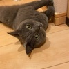 おぼろげに尿検査〜2024夏〜