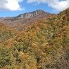 酷道で冠山峠へ紅葉狩り！！