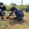 うんとこしょー、どっこいしょ