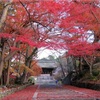 【京都】京都の紅葉スポット、毘沙門堂の紅葉