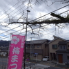 青梅市・吉野梅郷梅まつり、巡り