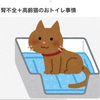 腎不全の猫の気象病。。、