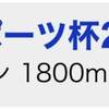 11/18&11/19の重賞予想