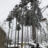 雪道で【絵描きは】何想う