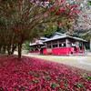 肝付宮下の桜迫神社（西洲宮跡）、ヒコナギサタケウガヤフキアエズノミコトと神武天皇の伝承地