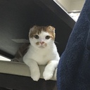 のんびり母さんの波瀾万丈記