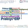 Company Profile Pridesys | Pridesys IT Ltd