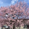 5月を振り返り オホーツクも初夏