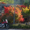 日本で二番目の高さ！温井ダムと紅葉ツーリング