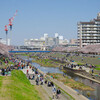 戸塚柏尾川沿いの花見と太陽