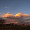 1月30日の夕陽雲＆今日の独り言