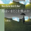 『鳥はいまどこを飛ぶか』　山野浩一