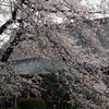 能徳寺（相模原市南区磯部）