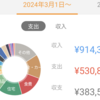 2024年3月分の家計簿公開！！