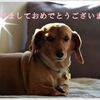 2019年　始まりました～♪