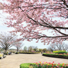 春の花咲く公園へ