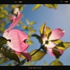 Photo No.1942 / さて週末は…