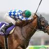 競馬初心者必見☆馬券予想🔥〜NHKマイル〜牡馬、牝馬のマイル王者が激突！！