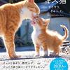 そば屋さんの有名看板猫が「モヤさま」に出演（2024年6月8日放送・埼玉県 与野周辺）