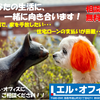 不動産の買取もエル・オフィス　！#鳥取　#任意売却　#不動産買取　#不動産売買　#相続　#離婚　#住宅ローン　#競売　#差押え
