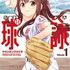 パワプロ2016で球詠キャラ作成してます