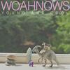 WOAHNOWS / Young and Cool